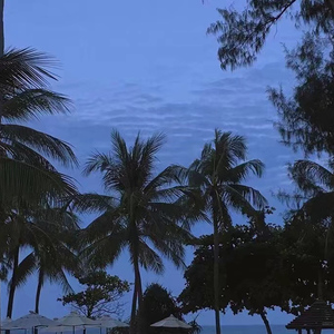 偷拍男路边撒尿合集Gay2022
